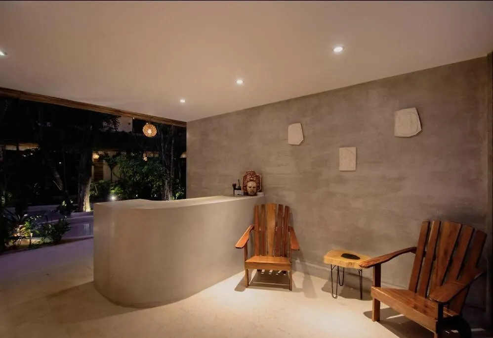 New Large Luxurious 1 Bedroom, 1 Bathroom Apartment In Tulum 0*,  Mexiko