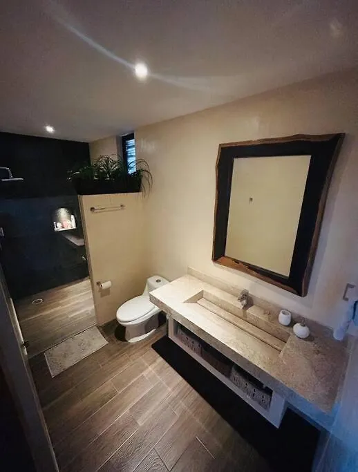New Large Luxurious 1 Bedroom, 1 Bathroom Apartment In 图卢姆