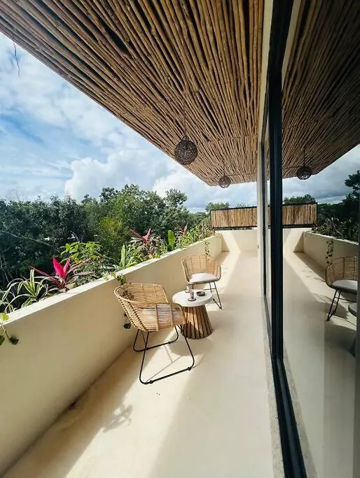 New Large Luxurious 1 Bedroom, 1 Bathroom Apartment In 图卢姆 0*,