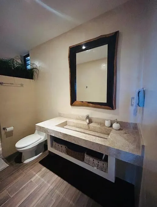 New Large Luxurious 1 Bedroom, 1 Bathroom Apartment In 图卢姆