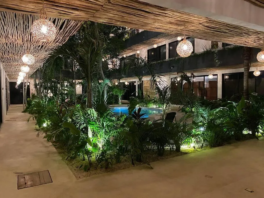 New Large Luxurious 1 Bedroom, 1 Bathroom Apartment In 图卢姆